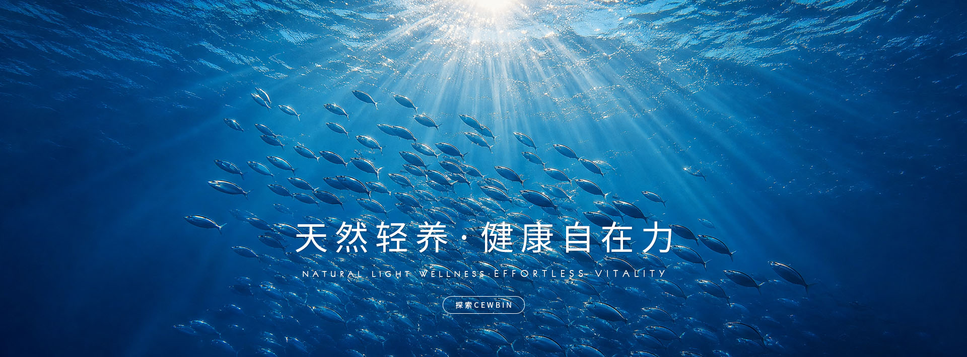 cewbin 首页